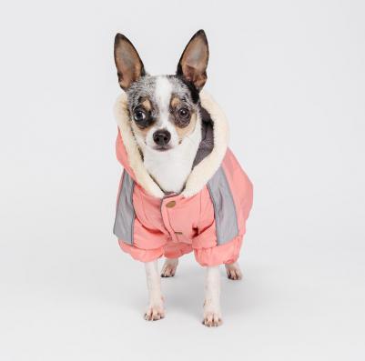 Комбинезон с капюшоном для собак, M, розово-серый (девочка) – фото 2
