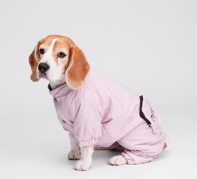 Комбинезон с кармашком для собак, 3XL, фиолетовый (девочка) – фото 2