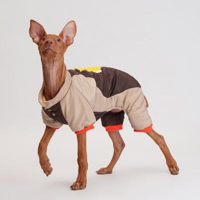 Комбинезон с медведем для собак, XL – фото 5