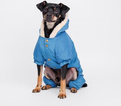 Комбинезон с оленем для собак, 2XL, синий – фото 1