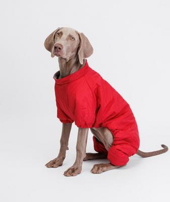 Комбинезон с замком для собак, 4XL, красный – фото 3