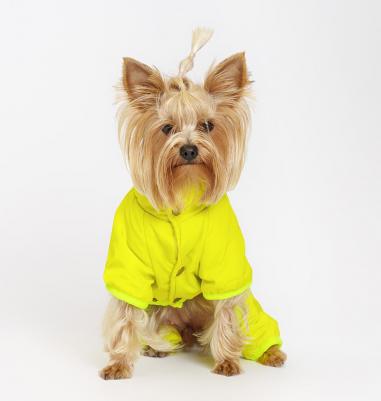 Комбинезон салатовый с медведем M – фото 1