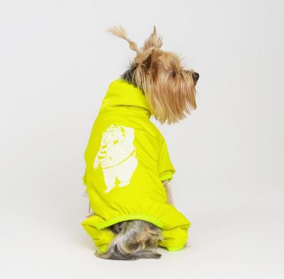 Комбинезон салатовый с медведем M