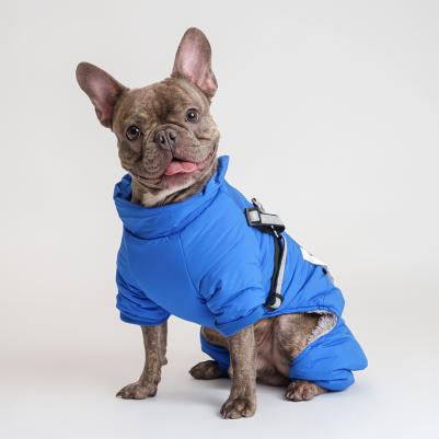 Комбинезон со шлейкой для собак, 2XL, синий 4680368400894 – фото 2