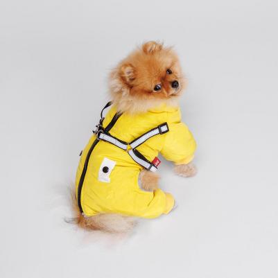 Комбинезон со шлейкой для собак, S, желтый – фото 4
