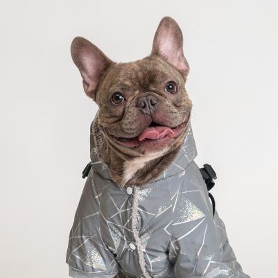 Комбинезон светоотражающий со шлейкой, 3XL, серый (девочка) – фото 2