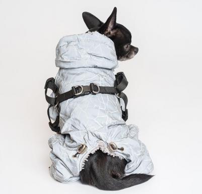 Комбинезон светоотражающий со шлейкой для собак, M, серый (унисекс) – фото 4