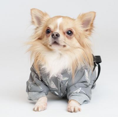 Комбинезон светоотражающий со шлейкой, S, серый (девочка) – фото 2