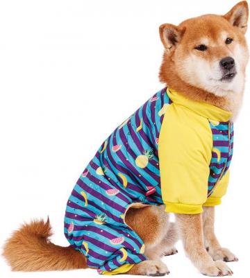 Комбинезон в полоску с фруктами для собак, 3XL, голубой (унисекс)