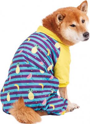 Комбинезон в полоску с фруктами для собак, 4XL, голубой (унисекс) – фото 1