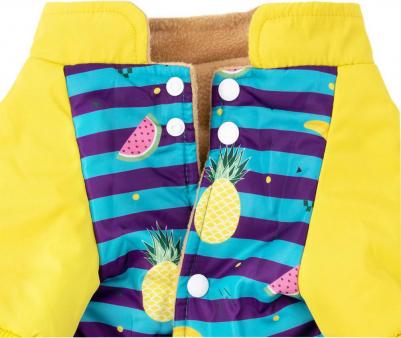 Комбинезон в полоску с фруктами для собак, 4XL, голубой (унисекс) – фото 3