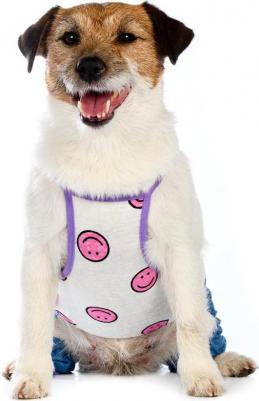 Костюм летний для собак XS синий (унисекс)