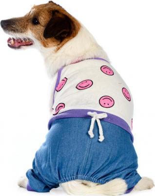 Костюм летний для собак XS синий (унисекс) – фото 2