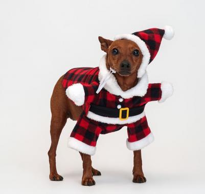 Костюм новогодний с колпаком Дед Мороз M красная клетка – фото 1