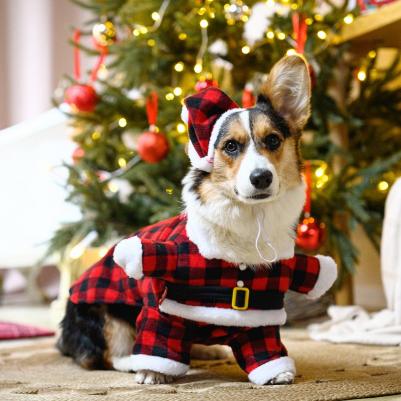 Костюм новогодний с колпаком Дед Мороз S красная клетка