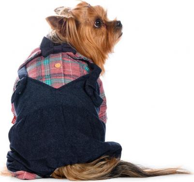 Костюм с рубашкой для собак L розовый (девочка) – фото 1