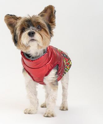 Куртка для собак на замке, XL, красная