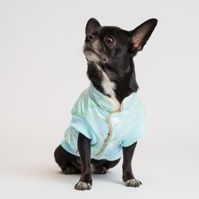 Куртка для собак, XL, голубая (унисекс) – фото 1