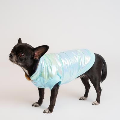 Куртка для собак, XL, голубая (унисекс) – фото 2