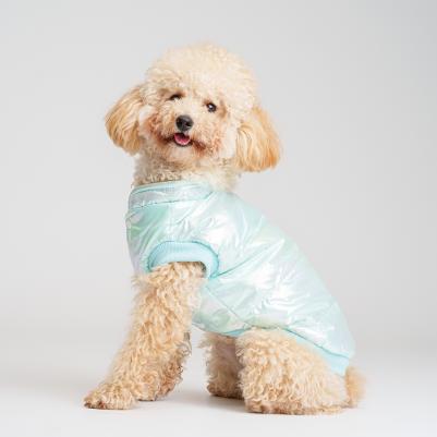 Куртка для собак, XL, голубая (унисекс)