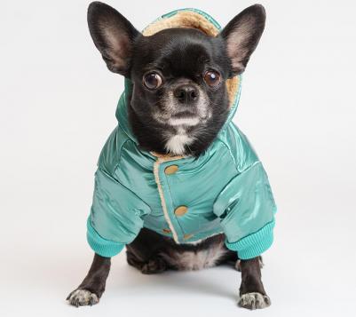 Куртка с капюшоном для собак, 2XL, зеленая – фото 8