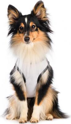 Майка для собак, XS, красная (унисекс) – фото 1