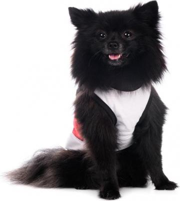 Майка для собак, XS, красная (унисекс) – фото 2