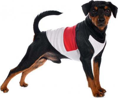 Майка для собак, XS, красная (унисекс)