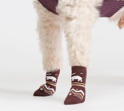 Носки с медведем для собак, M, фиолетовые – фото 2