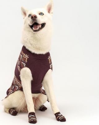 Носки с медведем для собак, XL, фиолетовые – фото 1