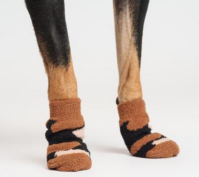 Носки с пятнами для собак, S, коричневый – фото 1