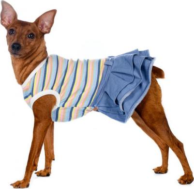 Платье для собак XS голубой (унисекс) – фото 1
