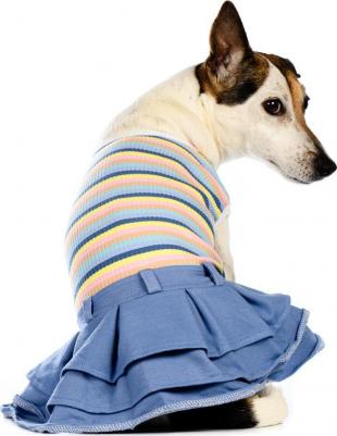 Платье для собак XS голубой (унисекс) – фото 2