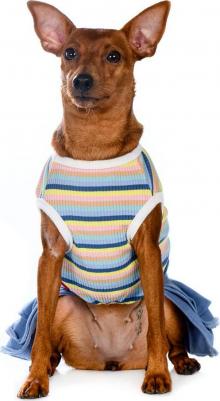 Платье для собак XS голубой (унисекс) – фото 4