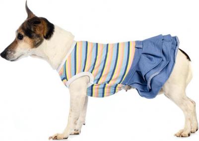 Платье для собак XS голубой (унисекс)