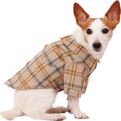 Рубашка для собак, M, бежевая с бантиком (унисекс)