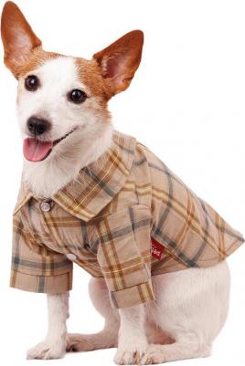 Рубашка для собак, M, бежевая с бантиком (унисекс) – фото 2