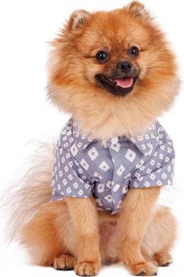 Рубашка для собак, M, голубая (унисекс) – фото 1