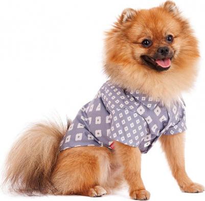 Рубашка для собак, M, голубая (унисекс) – фото 2