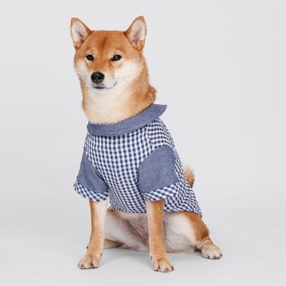 Рубашка в клетку для кошек и собак, 2XL, синяя