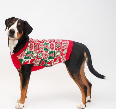 Свитер для собак Птички, 3XL, красный – фото 1