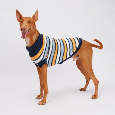 Свитер полосатый для собак, 60 см, оранжево-голубой – фото 1
