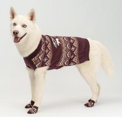 Свитер с медведем для собак, 3XL, фиолетовый – фото 7