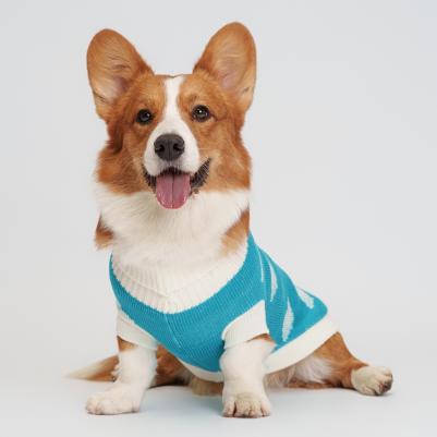 Свитер с облачками для собак, 4XL, голубой – фото 5