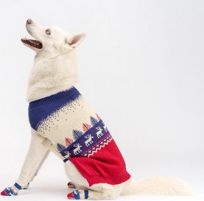 Свитер с оленями для собак, 3XL, красно-синий – фото 3