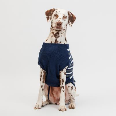 Свитер в полоску для собак, 4XL, синий (унисекс) – фото 4
