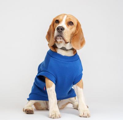 Толстовка с медведем для собак, 3XL, синий – фото 2