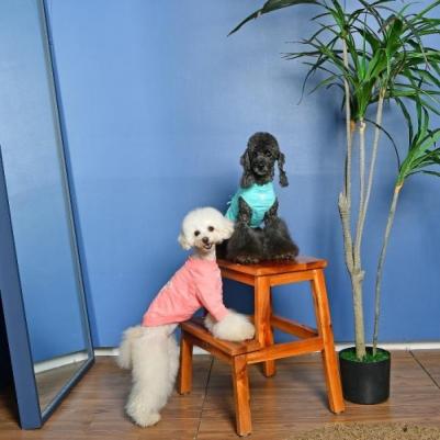 Футболка для собак "Gwyneth" розовая, размер S – фото 3