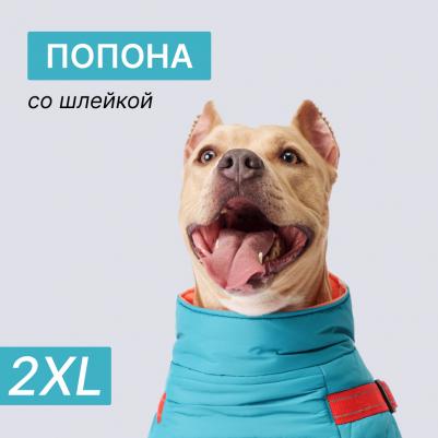 Попона теплая со шлейкой для собак, длина спины 50 см, объем груди 67-76 см, голубая – фото 1