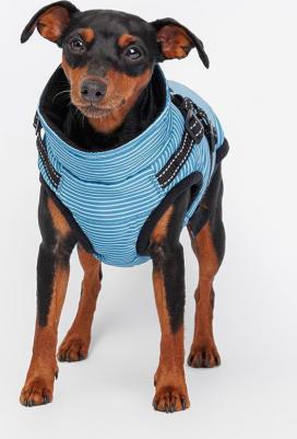 Попона теплая со шлейкой для собак, S, синяя